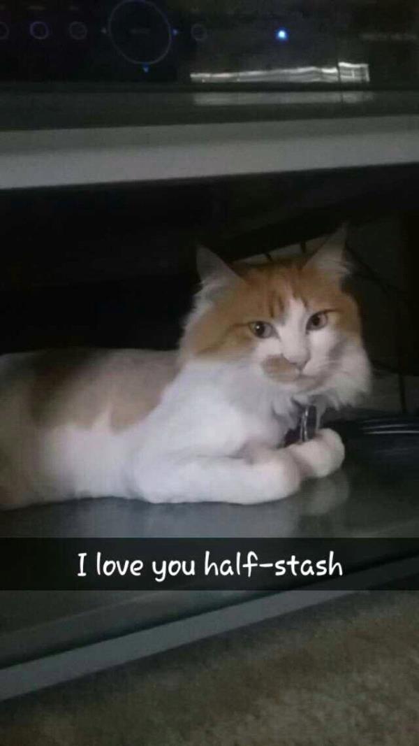 /Images/uploads/Humane Society of Utah/HSUCalendar/entries/1218thumb.jpg